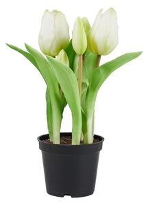 FLORISTA Tulipány "Real Touch" v kvetináči - sivobiela
