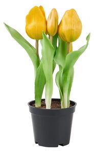 FLORISTA Tulipány "Real Touch" v kvetináči - žltá
