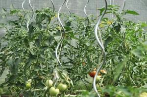 Bestent Špirálová tyč k paradajkám 120cm/ 10mm