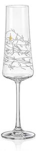 Crystalex GARDEN poháre na sekt 210 ml 2 ks