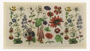 Umývateľná rohožka Botanicals