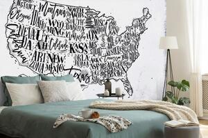 Tapeta šedá mapa USA s jednotlivými štátmi