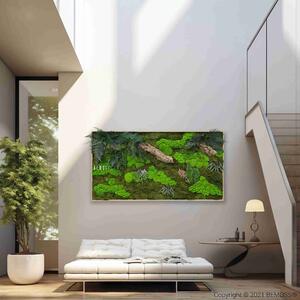 Machový obraz RASTLINY Alona XXL - 60 x 160 cm