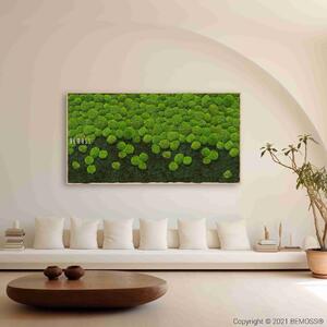 Machový obraz BOLMOSS CACHOEIRA Light XXL - 60 x 160 cm
