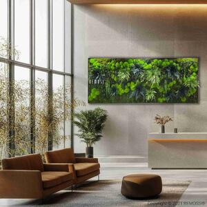 Machový obraz RASTLINY Vigo XXL - 60 x 180 cm