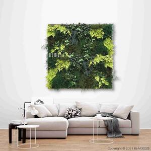 Machový obraz RASTLINY Madorra XXL - 60 x 160 cm