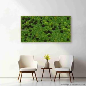 Machový obraz BEMOSS® ORTHO MONETO XXL - 60 x 160 cm