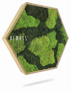 Machový Hexagon FLATMOSS BOVINO - Priemer 30 cm (v najširšom mieste šesťuholníka)