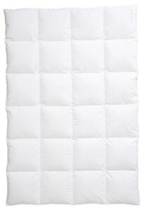 ZIMNÁ PRIKRÝVKA, 135/200 cm, kačacie páperie, kačacie perie Centa-Star - Prikrývky & vankúše, Online Only