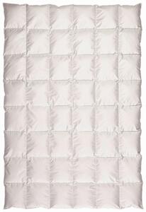 CELOROČNÁ PRIKRÝVKA, 155/220 cm, páperie Centa-Star - Prikrývky & vankúše, Online Only