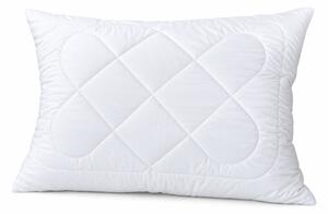 Vankúš ALOE VERA zips 70x90cm 900g
