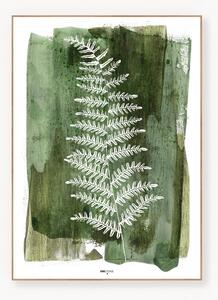 Digitálna tlač s rámom White Fern