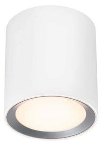 Stropné Lampa Nordlux, Landon Smart, stmievateľné, Biela, Obývacia izba, Kov