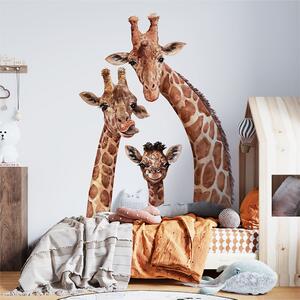 Detská nálepka na stenu Giraffes - rodina žiráf Rozmery: XL