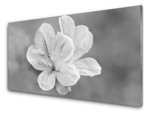 Obraz na skle Kvety rastlina 100x50 cm 2 Prívesky