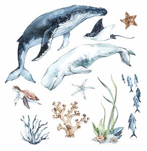 Detská nálepka na stenu Ocean - veľryba, bieluha, korytnačka a raja