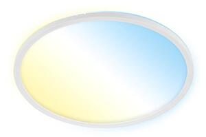 LED stropné svietidlo Slim S stmievateľné CCT biele Ø 29 cm