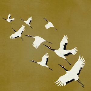 Vliesová sivá fototapeta vtáky v lete 357236, 300 x 300 cm, Natural Fabrics, Origin