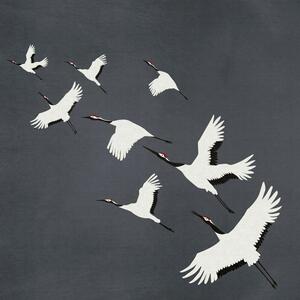 Vliesová sivá fototapeta vtáky v lete 357235, 300 x 300 cm, Natural Fabrics, Origin