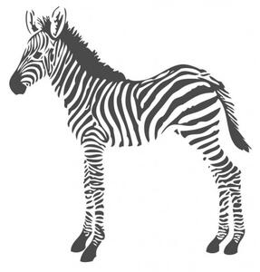 Vliesová fototapeta - zebra 357217, 150x279cm, Precious, Origin