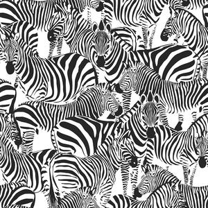 Vliesová čiernobiela tapeta so zebrami 139155, Paradise, Esta Home