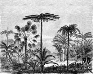 Vliesová čiernobiela fototapeta - džungľa, palmy 158952, 350x279cm, Paradise, Esta