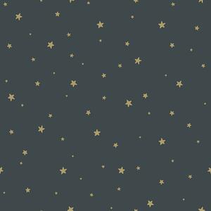 Sivomodrá vliesová tapeta so zlatými hviezdičkami 139261, Forest Friends, Esta
