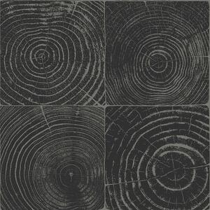 Čierno-strieborná vliesová tapeta imitacia dreva s letokruhmi 347544, Matières - Wood, Origin