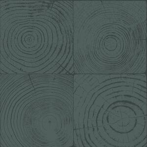 Modrá vliesová tapeta imitacia dreva s letokruhmi 347549, Matières - Wood, Origin