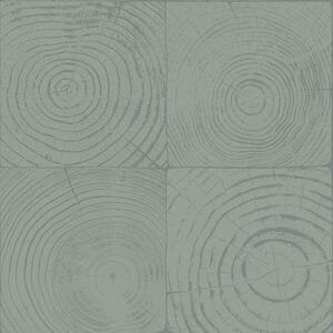 Zelená vliesová tapeta imitacia dreva s letokruhmi 347547, Matières - Wood, Origin