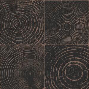 Čierno-hnedá vliesová tapeta imitacia dreva s letokruhmi 347550, Matières - Wood, Origin