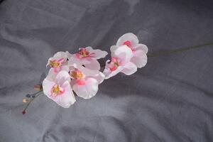 Umelé kvety ORCHIDEJ ružovobiela