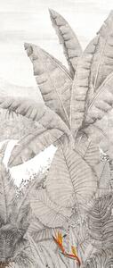 Vliesová fototapeta, Tropický les, palmy, DG3RAI1013, Wall Designs III, Khroma by Masureel