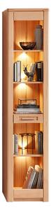 REGÁL, jadrový buk, 43/203/40 cm Carryhome - Obývacie zostavy