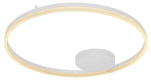 Moderné stropné svietidlo Halo 80 biele