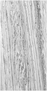 AKUSTICKÝ PANEL velikost: 52/104/0.7 cm Jangal - Online Only bytové doplnky, Online Only