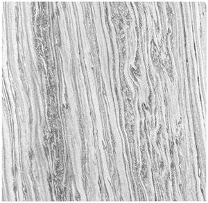 AKUSTICKÝ PANEL velikost: 52/52/0.7 cm Jangal - Online Only bytové doplnky, Online Only