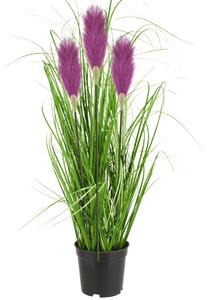 Tutumi Umelá tráva Pamp v kvetináči 70 cm fialová
