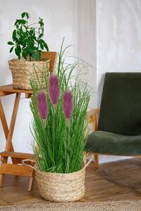 Tutumi Umelá tráva Pamp v kvetináči 70 cm fialová
