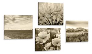 Set obrazov sépiová krajina s kvetmi