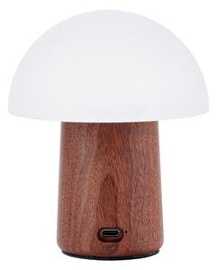 Biela/v tmavoprírodnej farbe LED stolná lampa (výška 12,5 cm) Alice Mushroom – Gingko