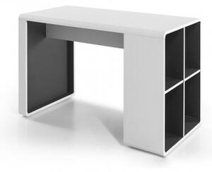 Písací stôl Naos (biela, antracit)