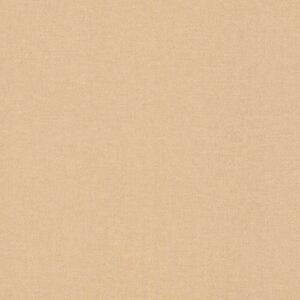RASCH | Vliesová tapeta na stenu Kids World 2 252866 | 0,53 x 10,05 m | hnedá