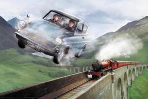 Plagát, Obraz - Harry Potter - Ford, (91.5 x 61 cm)