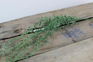 Zelený umelý trs rastliny senecio 60cm