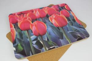 Farebné prestieranie na stôl s tulipánmi 6 ks