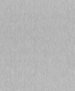 RASCH | Vliesová tapeta na stenu Incanto 608670 | 0,53 x 10,05 m | metalická
