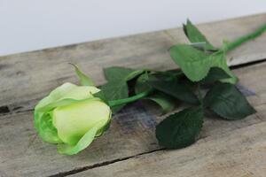 Zelená umelá ruža 50 cm