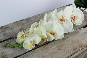 Biela umelá orchidea na stonke 80cm