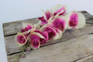 Ružová umelá orchidea na stonke 80cm
